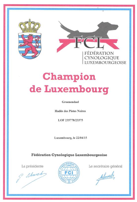 Champion Luxembourg Hades des Pistes Noires 