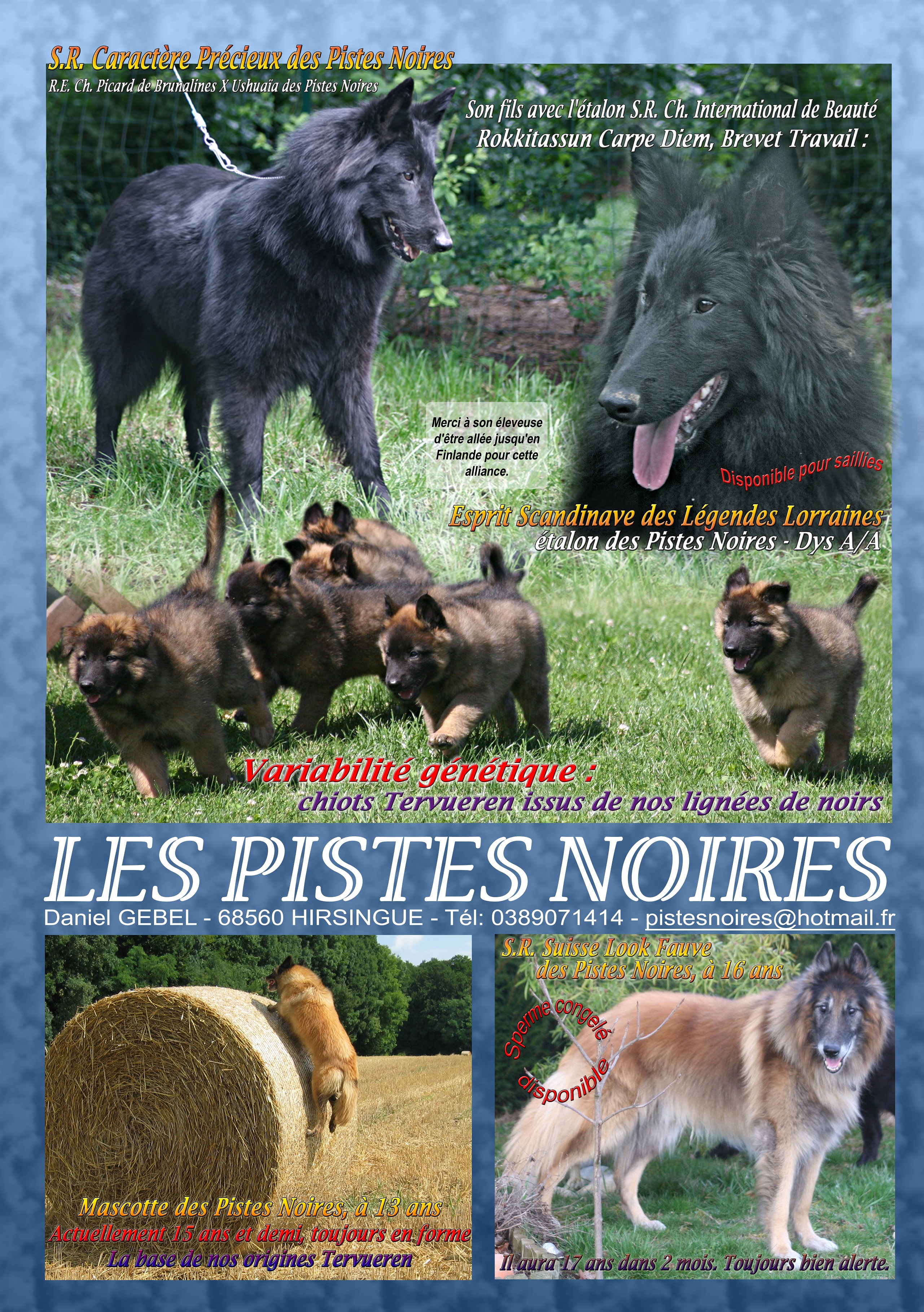 Nouvelles d'Elevage Club Français du chien de Berger Belge 2012 